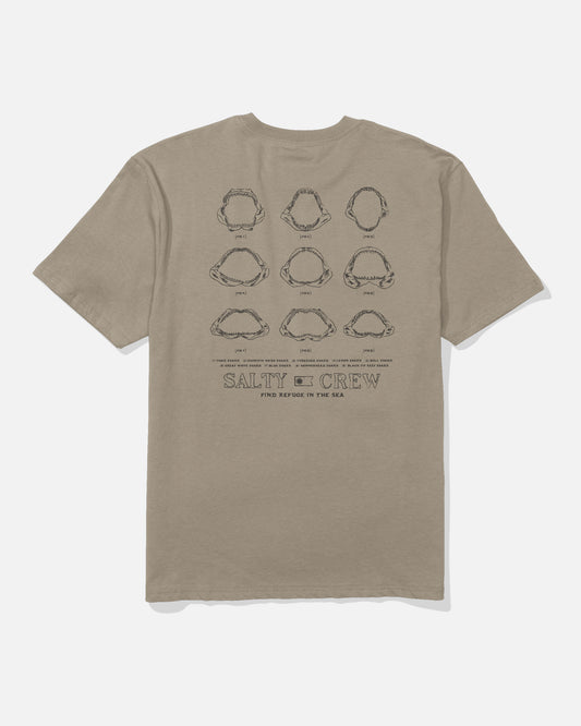 Jawbone Classic Ss Tee - Twig