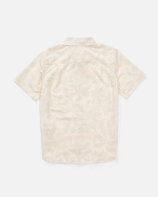 21035151Y_BIRCH_2_1753187603