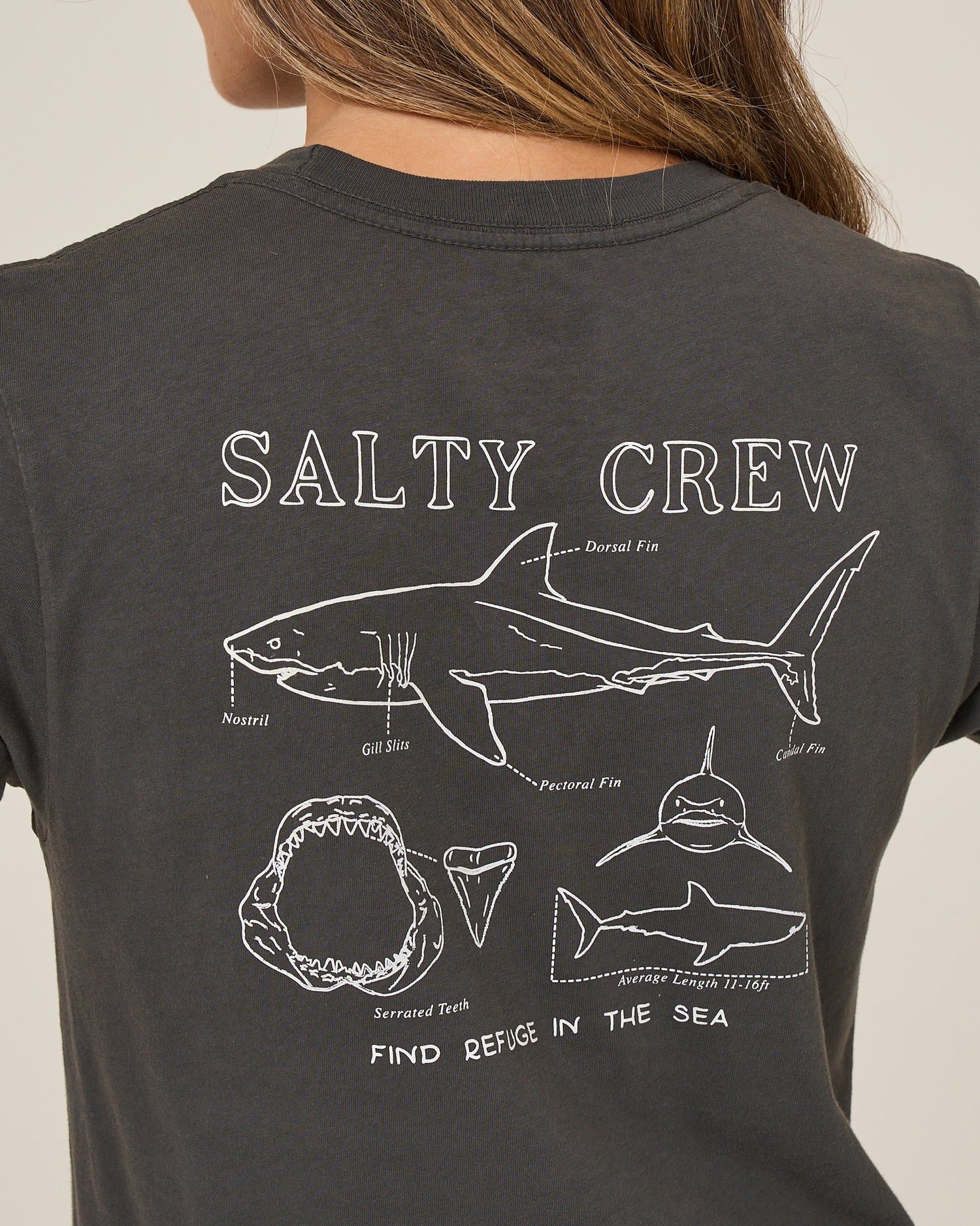 Shark Anatomy Modern Tee - Charcoal