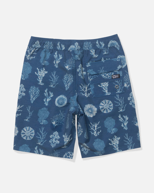 Crew  Volley Kids - Cast Blue