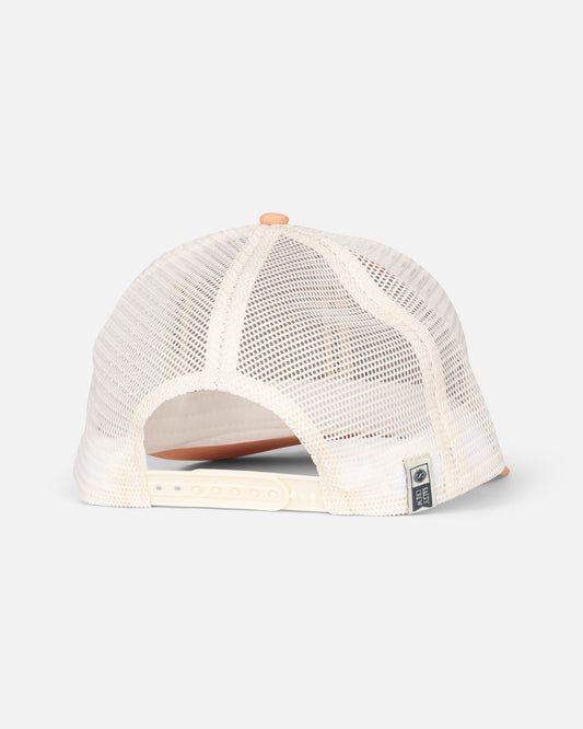 Bruce Trucker - Apricot