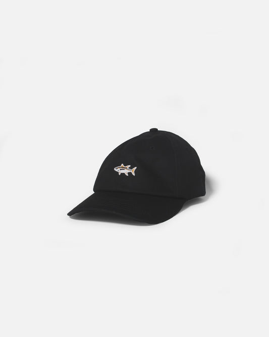 Fishsticks Dad Cap - Black
