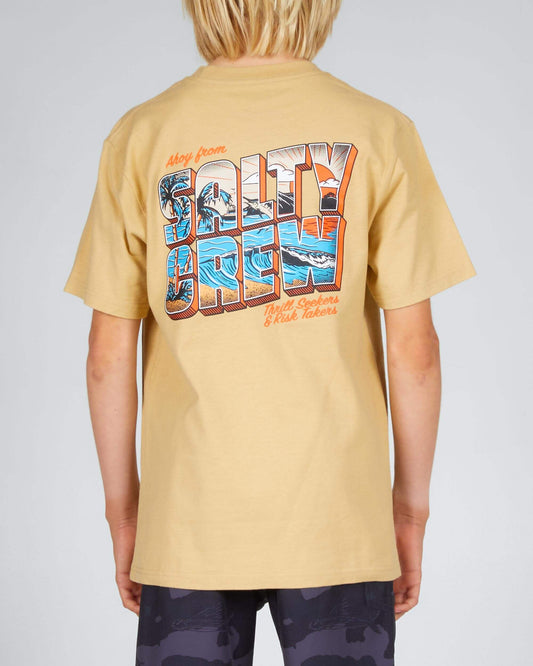 Salty crew T-SHIRTS S/S GREETINGS BOYS S/S TEE - Camel in Camel