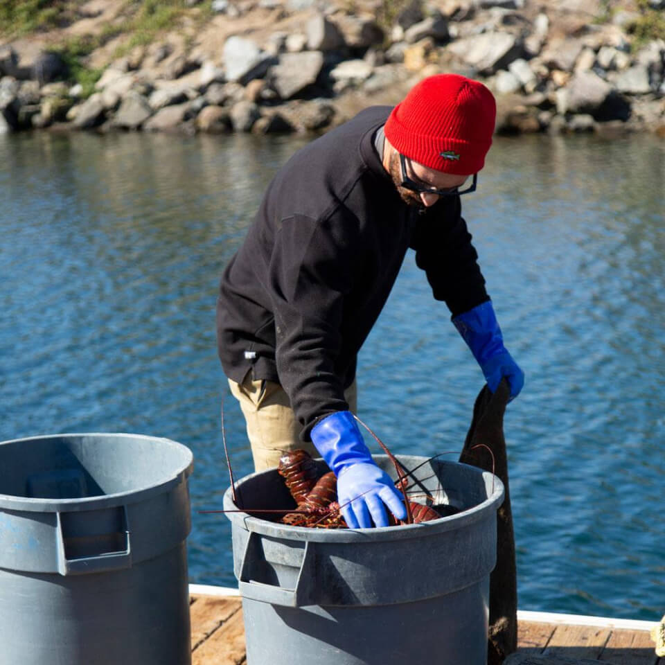 Salty Crew BEANIES FISHSTICKS BEANIE  in ROSSO